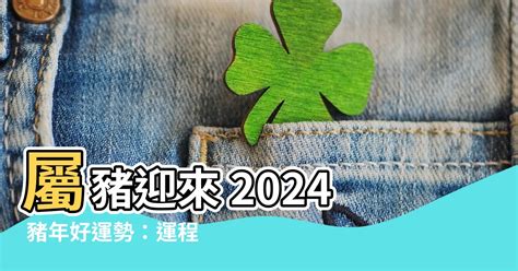 豬年運程|2024年屬豬人全年整體運勢詳解